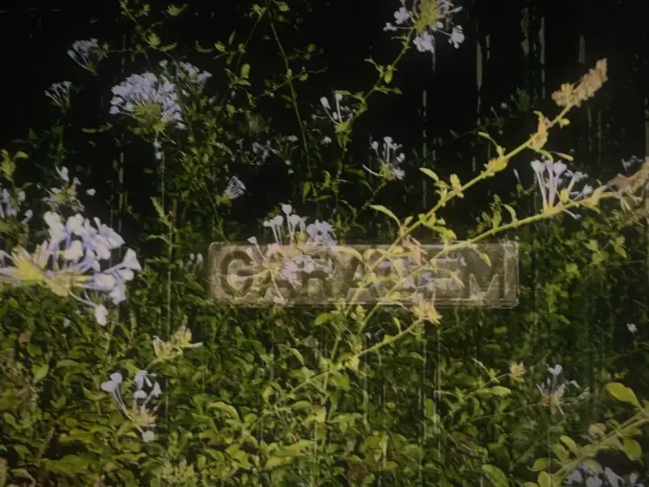 A double-exposed frame shot on DÉJÀ VU 400