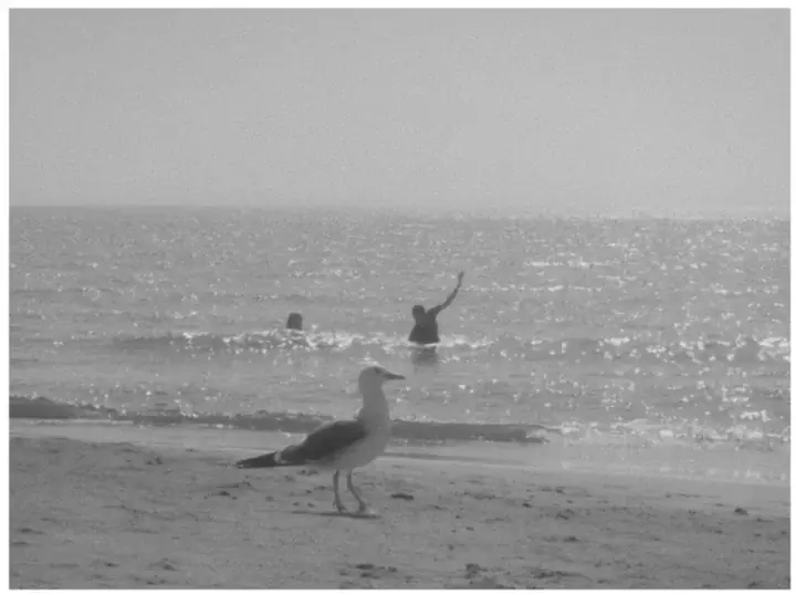 A frame shot on MONO CLASSIC 200