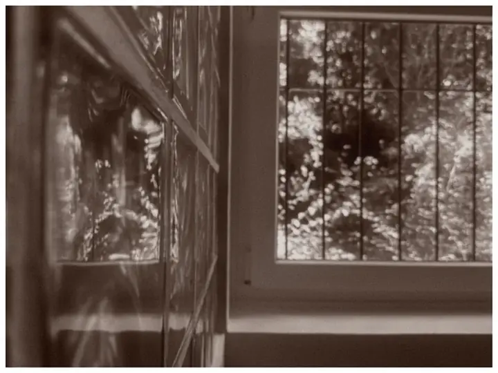 A frame shot on MONO SEPIA 200
